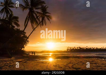 Coucher de soleil sur la plage avec palmiers, île de Boipeba, Bahia, Brésil, Amérique du Sud Banque D'Images
