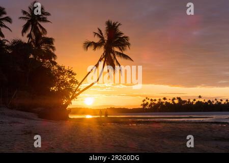 Coucher de soleil sur la plage avec palmiers, île de Boipeba, Bahia, Brésil, Amérique du Sud Banque D'Images