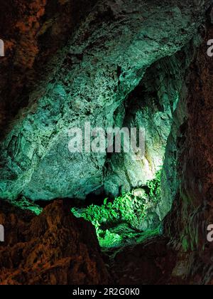 Murs illuminés de couleur verte par des algues dans la grotte calcaire, Smoo Cave, Durness, Sutherland, Écosse, Royaume-Uni Banque D'Images