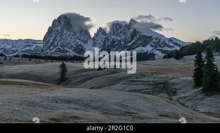 Vue sur Langkofel et Plattkofel sur l'Alm Seiser dans le Tyrol du Sud, Italie Banque D'Images