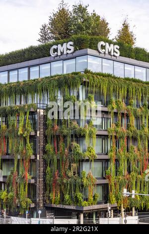 Façade verte pour un meilleur climat urbain, le passage Calwer, protégé par le patrimoine, 41 espèces végétales différentes dans 2000 arrondissements doivent améliorer le climat dans Banque D'Images