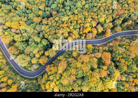 Route sinueuse à travers une forêt colorée en automne, photo de drone, Gutenberger Steige, Lenningen, Bade-Wurtemberg, Allemagne Banque D'Images