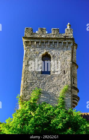 Tour face à un ciel bleu à l'Hôtel Château de Creissels, Millau, France Banque D'Images