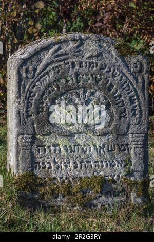 Symboles juifs sur pierre tombale, cimetière juif historique, ce lieu funéraire fut occupé de 1737 à 1934, Hagenbach, haute-Franconie, Bavière Banque D'Images