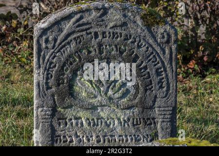 Symboles juifs sur pierre tombale, cimetière juif historique, ce lieu funéraire fut occupé de 1737 à 1934, Hagenbach, haute-Franconie, Bavière Banque D'Images