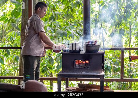 La Virgen, Costa Rica, visiteurs de la station de recherche Tirimbina Apprenez sur la plante de cacao et comment le chocolat est fait à partir de fèves de cacao Banque D'Images