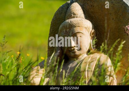 Statue de Bouddha dans un pré de fleurs, Forêt Noire, Bade-Wurtemberg, Allemagne Banque D'Images