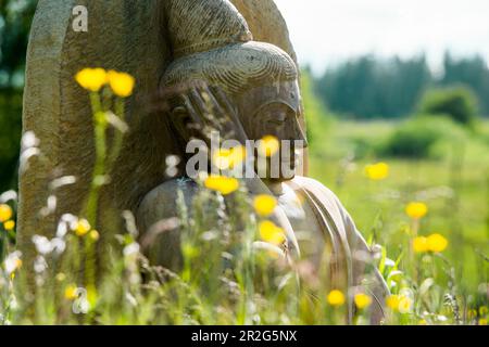 Statue de Bouddha dans un pré de fleurs, Forêt Noire, Bade-Wurtemberg, Allemagne Banque D'Images