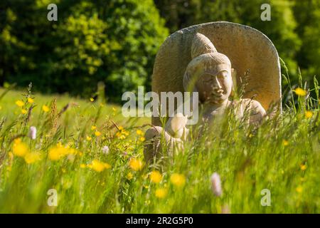 Statue de Bouddha dans un pré de fleurs, Forêt Noire, Bade-Wurtemberg, Allemagne Banque D'Images