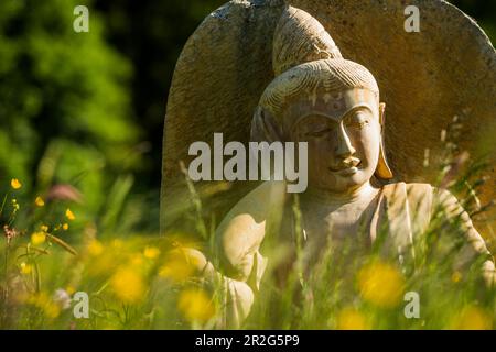 Statue de Bouddha dans un pré de fleurs, Forêt Noire, Bade-Wurtemberg, Allemagne Banque D'Images