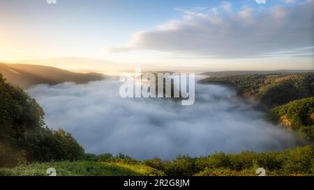 Vue sur Saarschleife sous le brouillard, ambiance matinale. Orscholz, Sarre, Allemagne, lumière du soleil de gauche. Banque D'Images