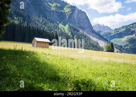 Haystacks sur la prairie alpine, Tannheimer Tal, Vilsalpsee, Autriche Banque D'Images