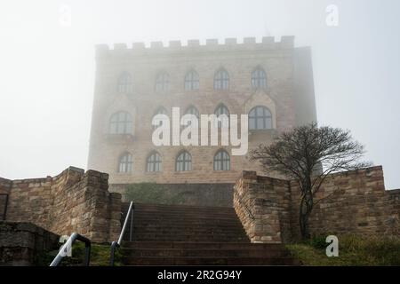 Château de Hambach dans le brouillard, Hambach, Neustadt an der Weinstrasse, Forêt du Palatinat, Rhénanie-Palatinat, Allemagne Banque D'Images