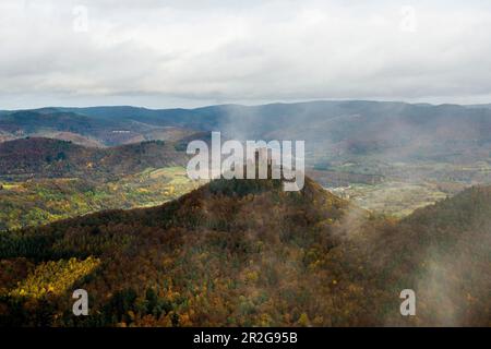 Forêt et montagnes en automne, vue du Rehbergturm au château de Trifels, Annweiler, Forêt du Palatinat, Rhénanie-Palatinat, Allemagne Banque D'Images