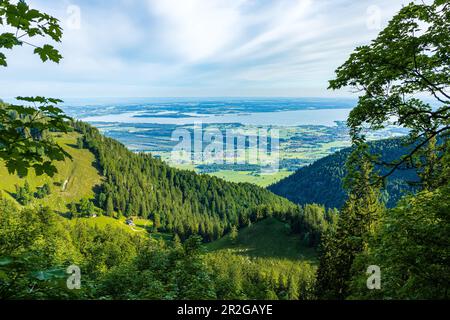 Vue sur le Chiemsee depuis Hochgern, vous pouvez voir le Staudacher Alm, de lourds nuages. Marquartstein, Chiemgau, Alpes de Chiemgau, haute-Bavière, Bavière, Germe Banque D'Images