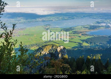 Vue sur le Forggensee et le Bannwaldsee depuis le Tegelberg, des wafts de brouillard dans la vallée. Füssen, Schwangau, Allgaeu, Souabe, Bavière, Allemagne, Europe Banque D'Images
