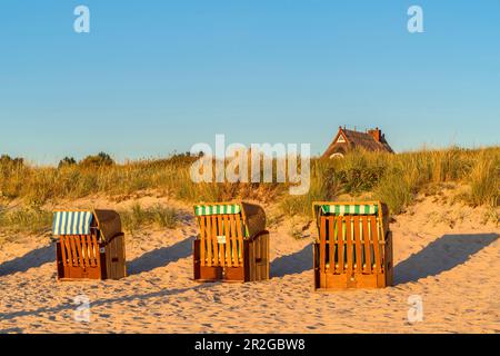 Chaises de plage sur la plage à Wustrow, Fischland-Darß-Zingst, Mecklenburg-Ouest Pomerania, Allemagne Banque D'Images
