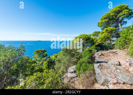 Côte de l'île de Kolocep près de Dubrovnik, Croatie Banque D'Images