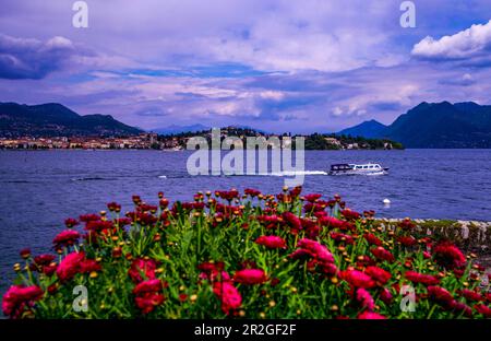 Vue depuis Isola Madre sur Verbania-Pallanza, province de Verbano-Cusio-Ossola, Italie Banque D'Images