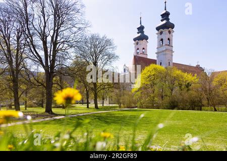 Doubles plis; ancien monastère bénédictin et ancien couvent de notre-Dame, église monastère, dans le Jura souabe, Bade-Wurtemberg, Allemagne Banque D'Images