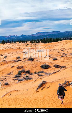 Grande vue panoramique ; parc national Coral Pink Sand Dunes ; Utah ; États-Unis Banque D'Images