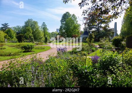 Roseraie à Zweibruecken, Rhénanie-Palatinat, Allemagne Banque D'Images