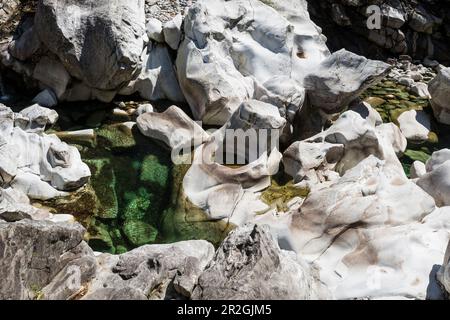 Formations rocheuses dans la rivière Verzasca, près de Lastezzo, vallée de la Verzasca, Valle Verzasca, Canton du Tessin, Suisse Banque D'Images