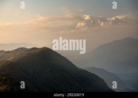 Vue de Sarangkot vers le massif de l'Annapurna, Pokhara, Kaski, Népal, Himalaya, Asie Banque D'Images