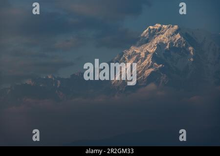 Vue de Sarangkot vers le massif de l'Annapurna, Pokhara, Kaski, Népal, Himalaya, Asie Banque D'Images