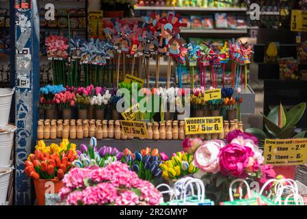 Bloemenmarkt, marché aux fleurs flottant sur le canal Singel, vue détaillée, Amsterdam, Hollande-du-Nord, pays-Bas Banque D'Images