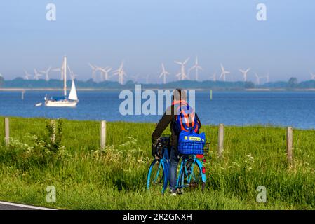 Femme conduit rapidement au ferry, Elbe ferry près de Glückstadt, Glückstadt, côte de la mer du Nord, Schleswig Holstein, Allemagne, Europe Banque D'Images