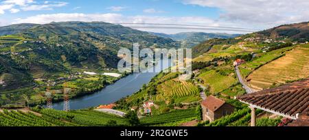 Vue panoramique sur la vallée du Douro et la région viticole du Haut-Douro dans le nord du Portugal Banque D'Images