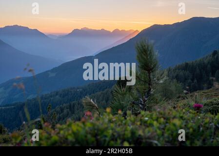 Lever du soleil dans les Alpes, Krahberg, Mont Venet, situé sur le sentier européen de randonnée longue distance E5, Zams, Tyrol, Autriche Banque D'Images