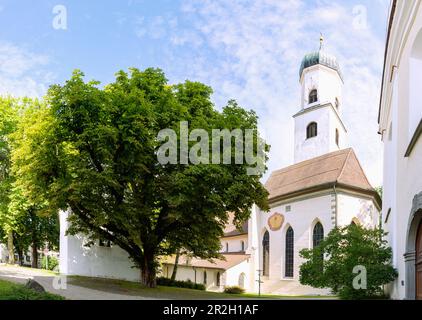 Ensemble de Nikolaikirche, église paroissiale de Saint Georg et Jakobus et la chapelle du Mont des oliviers à Isny dans le Westallgäu dans le Bade-Wurtemberg en Allemagne Banque D'Images