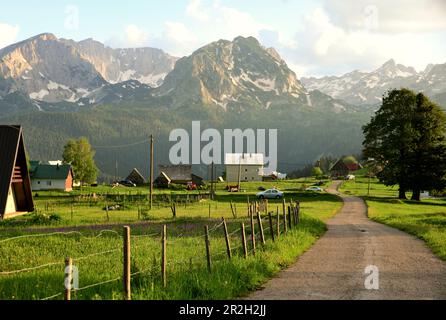 Près de Zabljak au parc national de Durmitor, Monténégro Banque D'Images