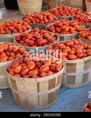 Belles tomates rouges dans de grands paniers en bois Banque D'Images