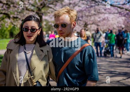 Personnes visitant la fleur de printemps des cerisiers au cimetière de Bispegjerg à Copenhague, Danemark Banque D'Images