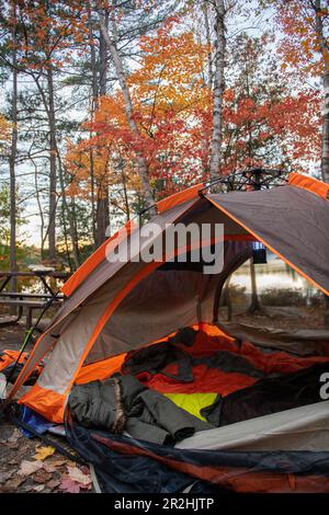 Intérieur d'une tente de camping avec beau et lumineux feuillage d'automne Banque D'Images