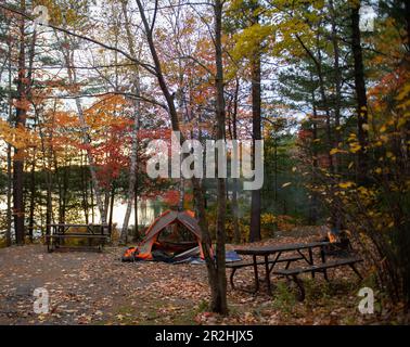 Feuillage d'automne coloré sur un site de camping au bord d'un lac dans le parc provincial Killarney Banque D'Images