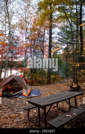 Feuillage d'automne coloré sur un site de camping au bord d'un lac dans le parc provincial Killarney Banque D'Images