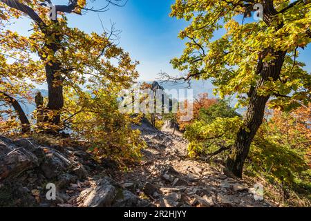 Paysage au Vogelbergsteig près de Dürnstein dans le Wachau, Basse-Autriche, Autriche Banque D'Images