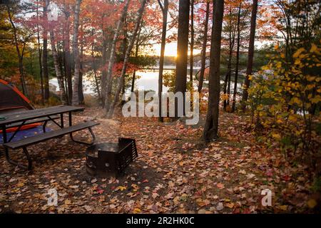 Coucher de soleil depuis un site de camping avec beau feuillage d'automne au bord d'un lac Banque D'Images