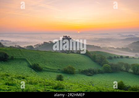 Un lever de soleil brumeux à Colmers Hill à Symondsbury près de Bridport à Dorset, le matin chaud et clair du printemps. Banque D'Images