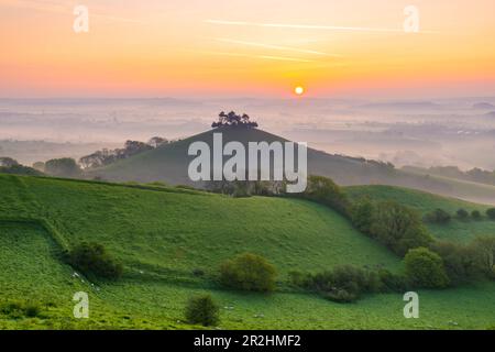 Un lever de soleil brumeux à Colmers Hill à Symondsbury près de Bridport à Dorset, le matin chaud et clair du printemps. Banque D'Images