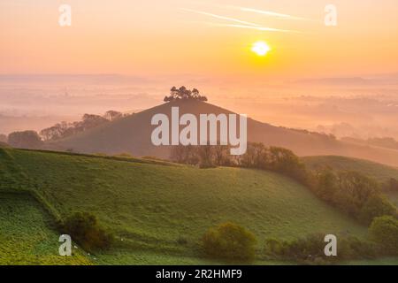 Un lever de soleil brumeux à Colmers Hill à Symondsbury près de Bridport à Dorset, le matin chaud et clair du printemps. Banque D'Images