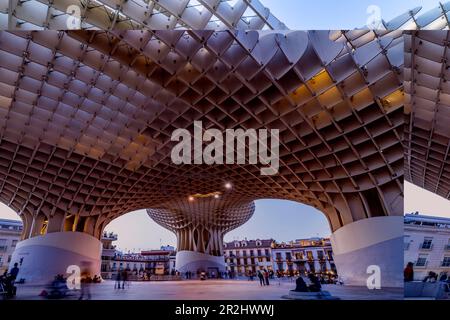 La structure futuriste en bois et terrasse d'observation Metropol parasol sur la Plaza de la Encarnación au crépuscule, Séville, Andalousie, Espagne Banque D'Images