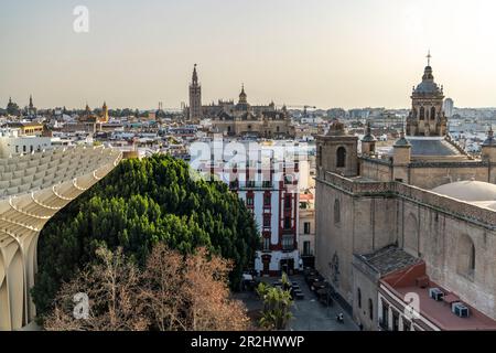 Vue depuis le parasol Metropol de la cathédrale et l'église Iglesia de la Anunciación, Séville, Andalousie, Espagne Banque D'Images