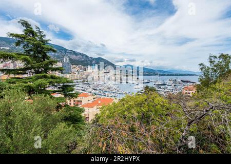 Vue sur le port de plaisance de Port Hercule dans la Principauté de Monaco Banque D'Images