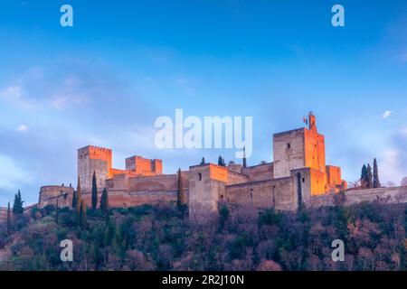 L'Alhambra, site classé au patrimoine mondial de l'UNESCO, Grenade, Andalousie, Espagne, Europe Banque D'Images