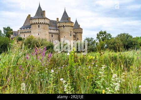 Le château de Château de Suscinio près de Sarzeau, Bretagne, France Banque D'Images